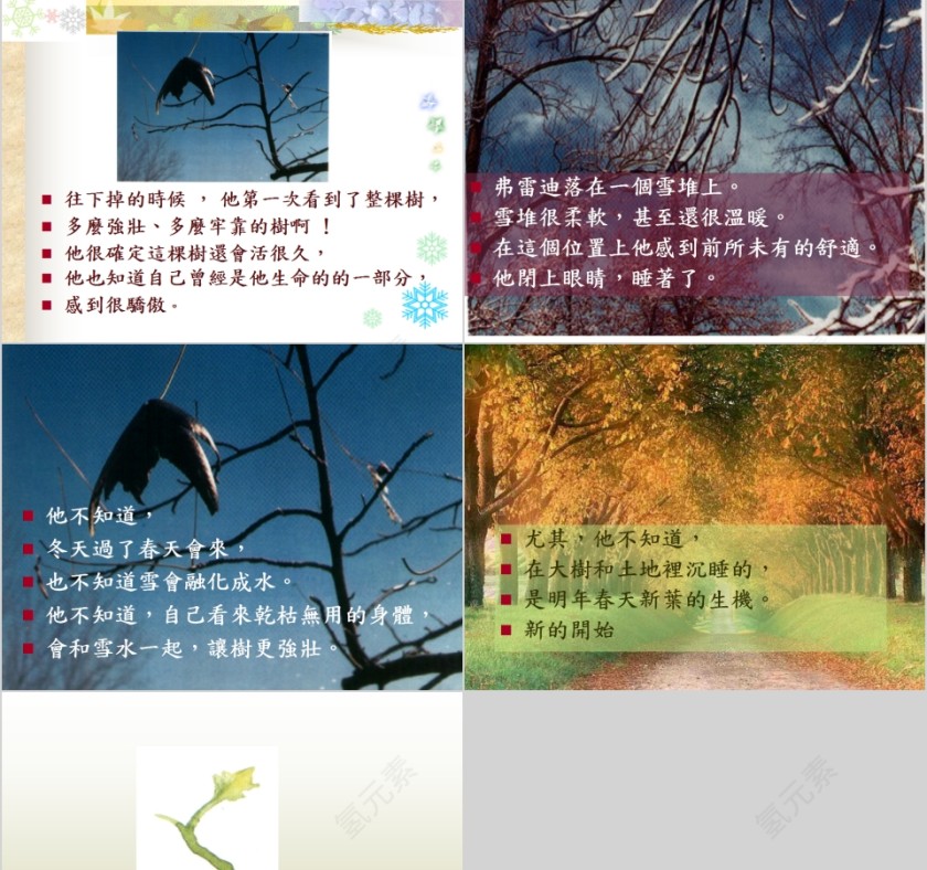 一只碟子落下来幼儿园绘本故事教育课件第9张