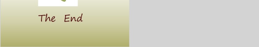 一只碟子落下来幼儿园绘本故事教育课件第10张