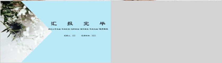 蓝色简约导游述职报告PPT模板第4张