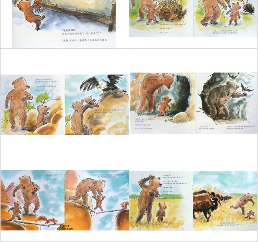 小熊和最好的爸爸我长大了教育课件PPT第2张