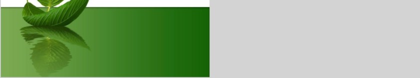 Is there a post office near here英语课件PPT第6张