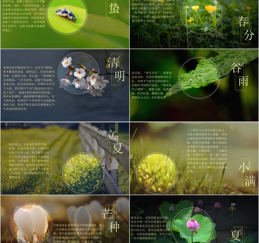传统节日二十四节气PPT模板第2张