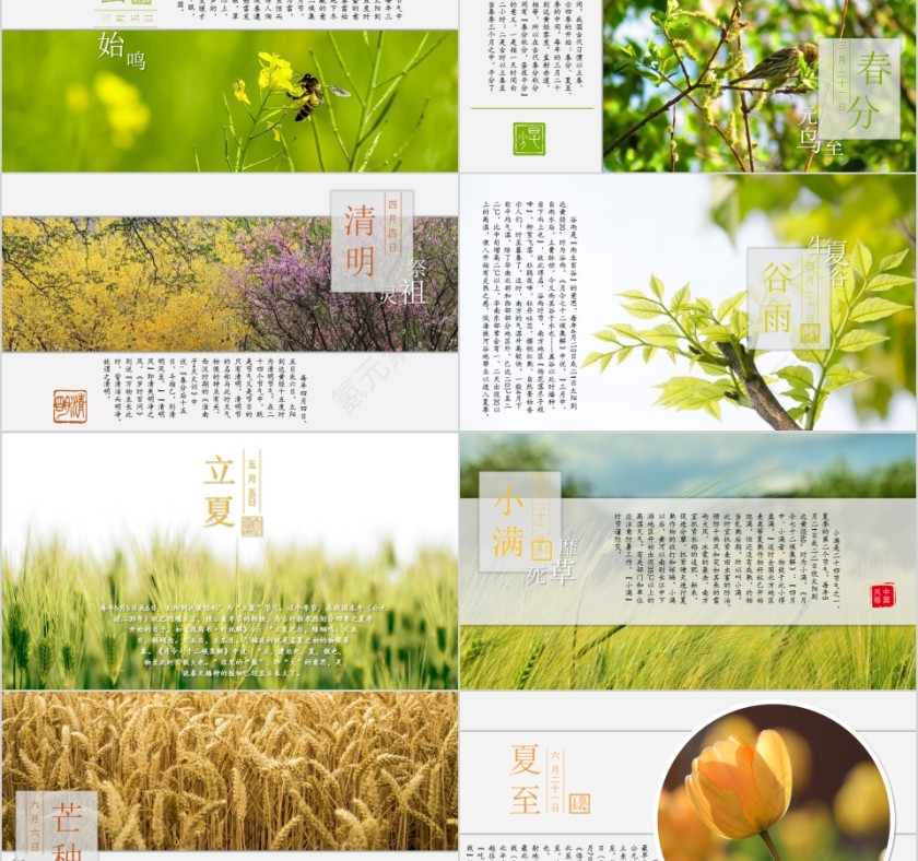 中国风格二十四节气PPT模板第2张