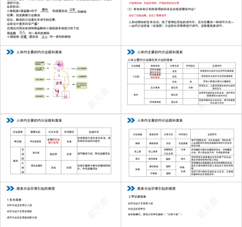 《通过激素的调节》人教版高中生物上册PPT课件第2张