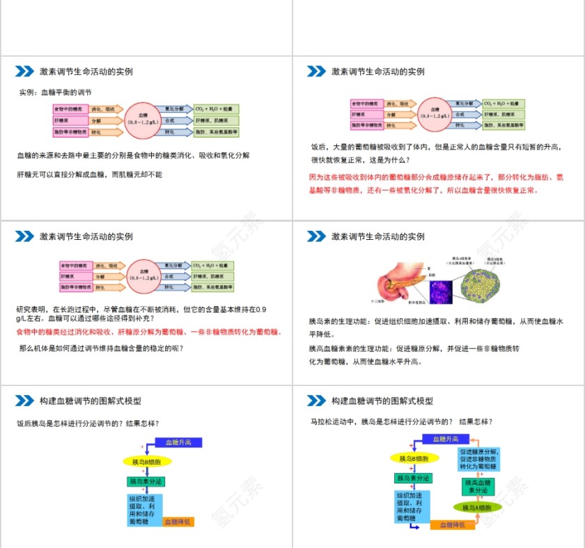 《通过激素的调节》人教版高中生物上册PPT课件第3张