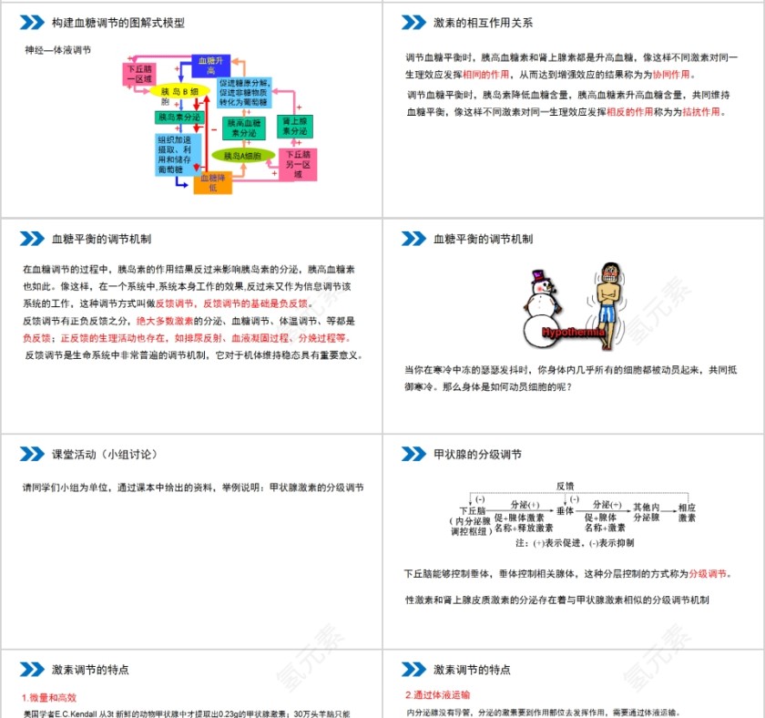 《通过激素的调节》人教版高中生物上册PPT课件第4张