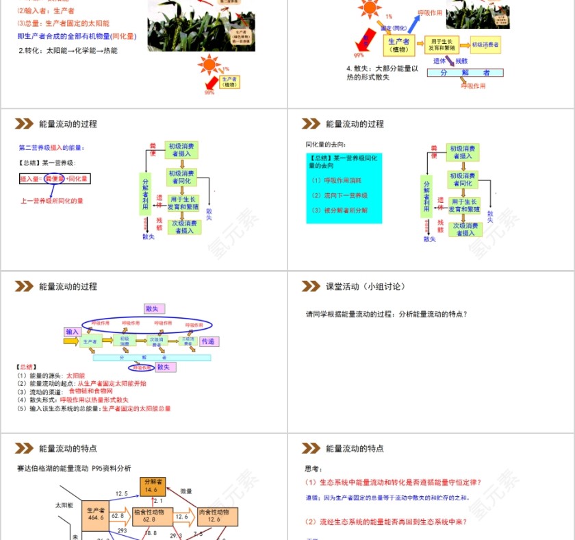 《生态系统的能量流动》人教版高中生物上册PPT课件第2张