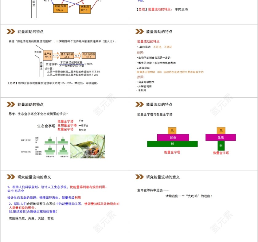 《生态系统的能量流动》人教版高中生物上册PPT课件第3张