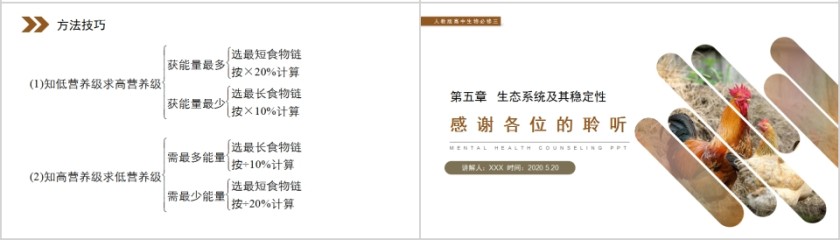 《生态系统的能量流动》人教版高中生物上册PPT课件第4张