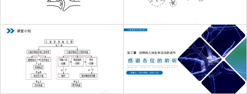 《通过神经系统的调节》人教版高中生物上册PPT课件第6张