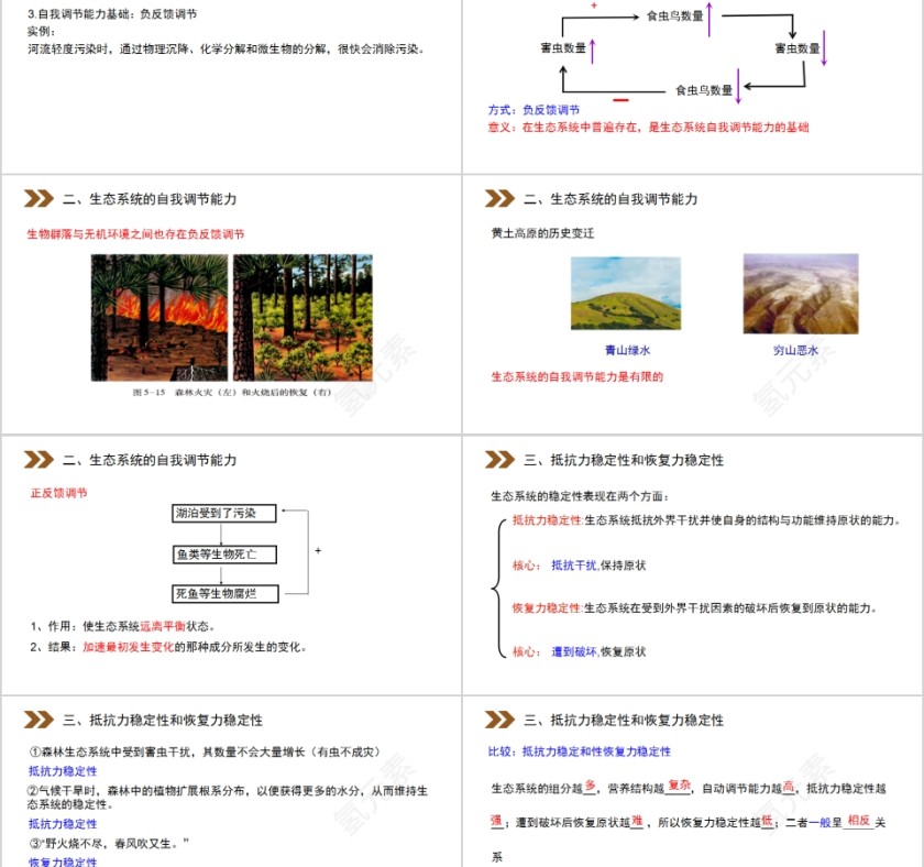 《生态系统的稳定性》人教版高中生物上册PPT课件第2张