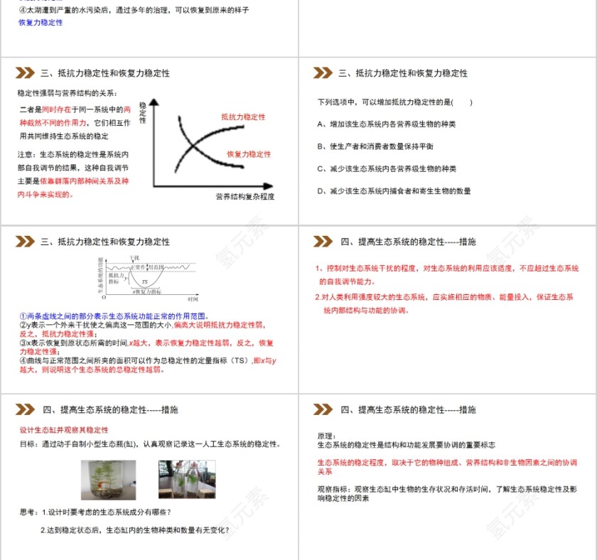 《生态系统的稳定性》人教版高中生物上册PPT课件第3张