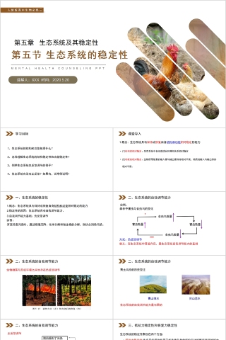 《生态系统的稳定性》人教版高中生物上册PPT课件