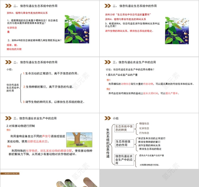 《生态系统的信息传递》人教版高中生物上册PPT课件第4张