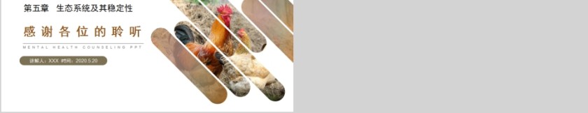 《生态系统的信息传递》人教版高中生物上册PPT课件第5张