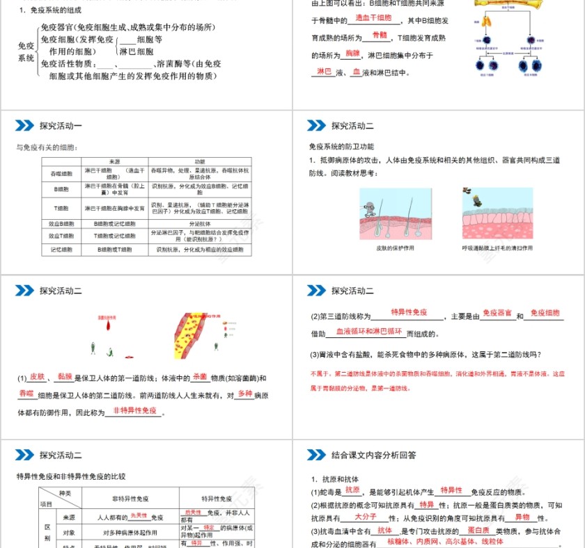 《免疫调节》人教版高中生物上册PPT课件第2张