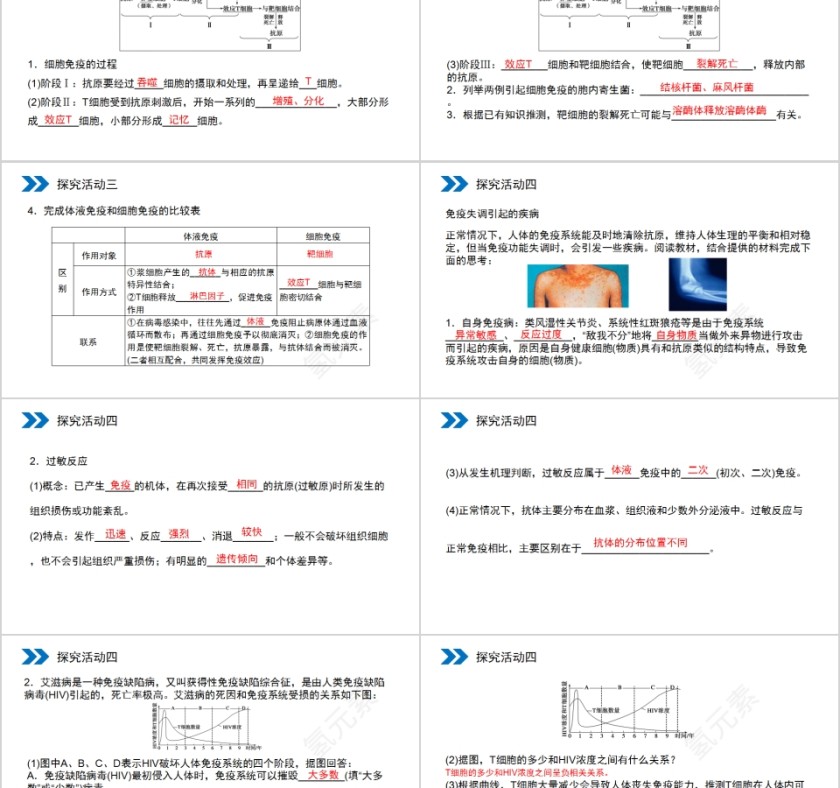 《免疫调节》人教版高中生物上册PPT课件第5张