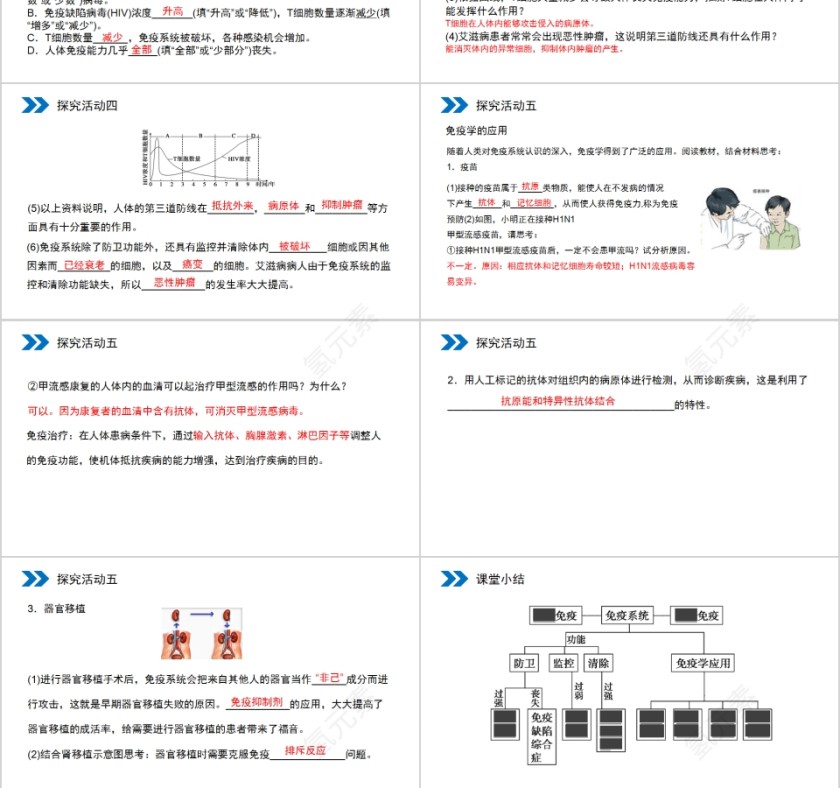 《免疫调节》人教版高中生物上册PPT课件第6张