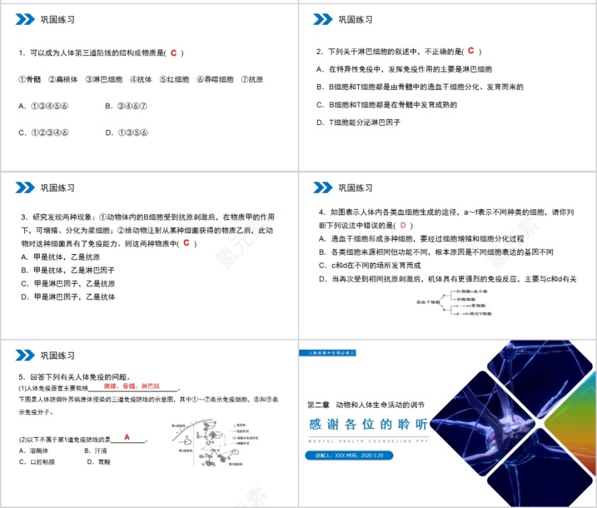 《免疫调节》人教版高中生物上册PPT课件第7张