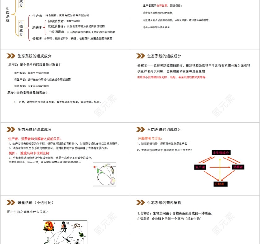 《生态系统的结构》人教版高中生物上册PPT课件第2张