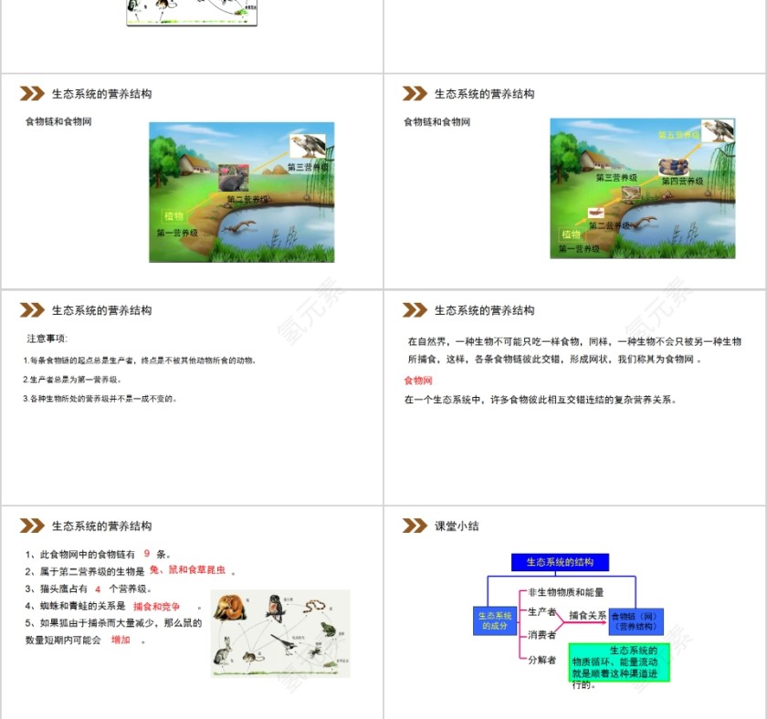 《生态系统的结构》人教版高中生物上册PPT课件第3张