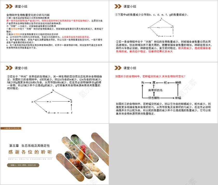 《生态系统的结构》人教版高中生物上册PPT课件第4张