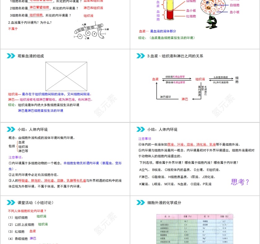 《细胞生活的环境》人教版高中生物上册PPT课件第2张