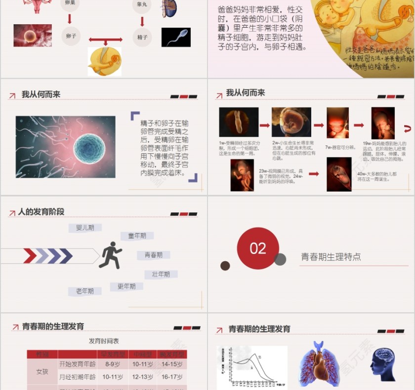 豆蔻梢头二月初青春性教育专题课程PPT第2张