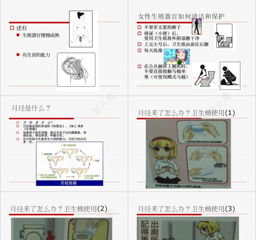 青春期性教育知识性教育专题课程PPT模板第3张