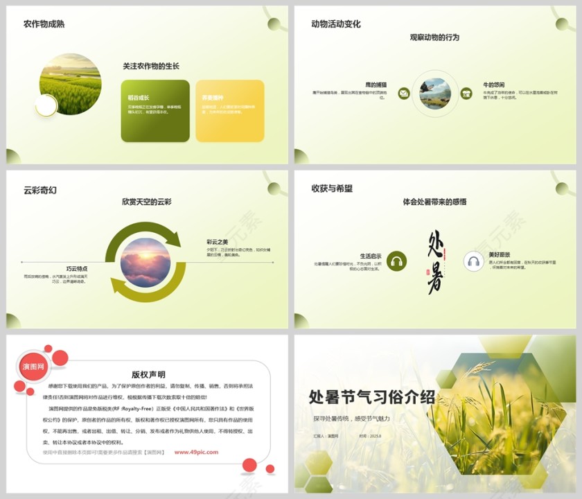 二十四节气之处暑节气介绍PPT课件第5张