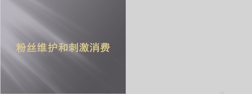 粉丝维护和刺激消费PPT模板第5张