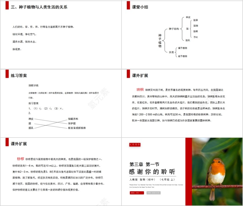 《种子植物 》人教版七年级生物PPT课件第4张