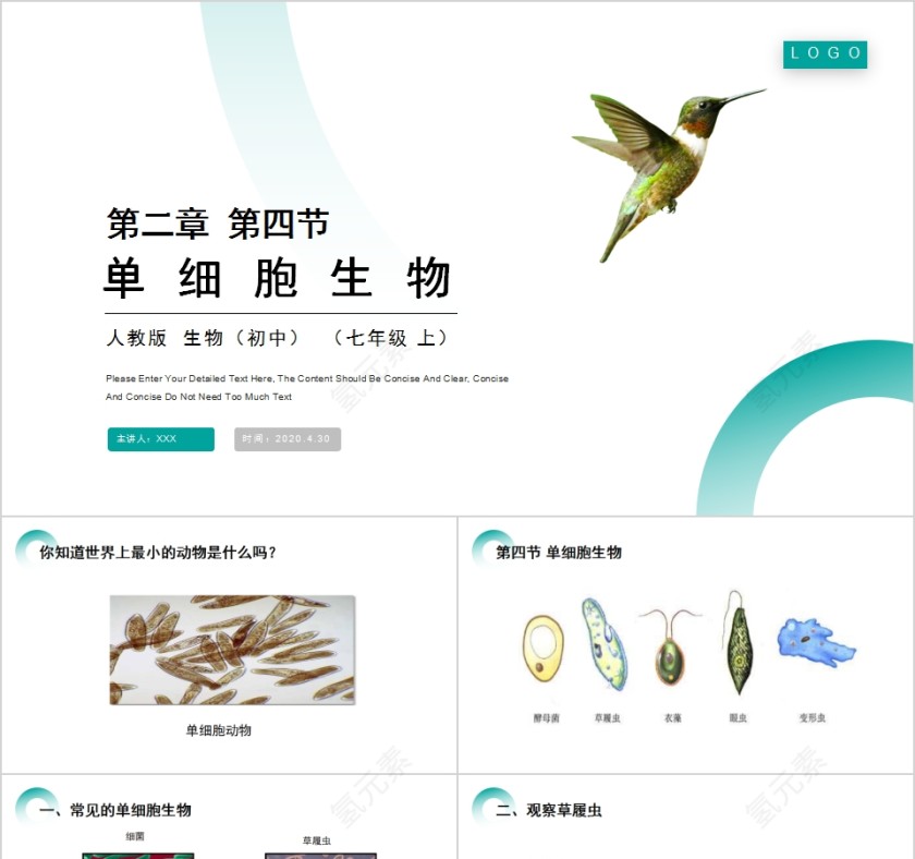 《单细胞生物 》人教版七年级生物PPT课件第1张