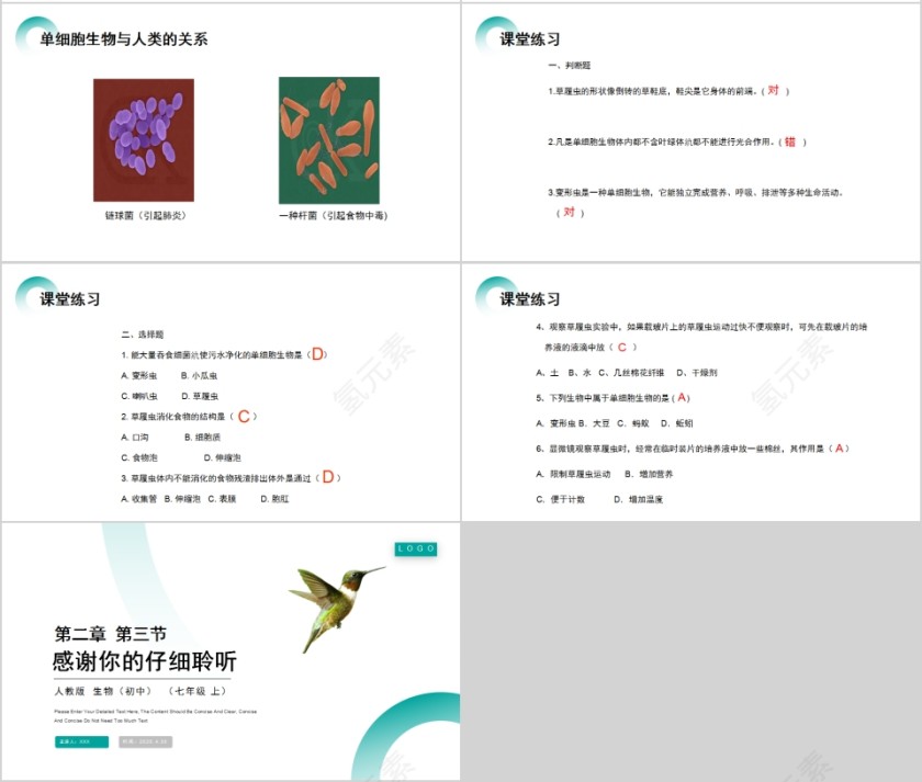 《单细胞生物 》人教版七年级生物PPT课件第4张