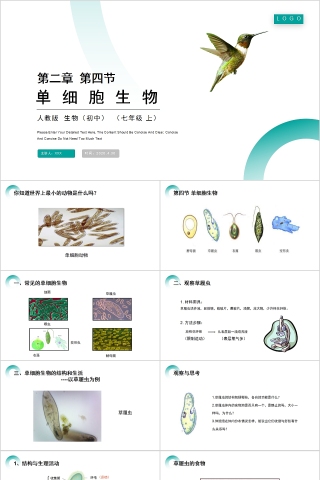 《单细胞生物 》人教版七年级生物PPT课件