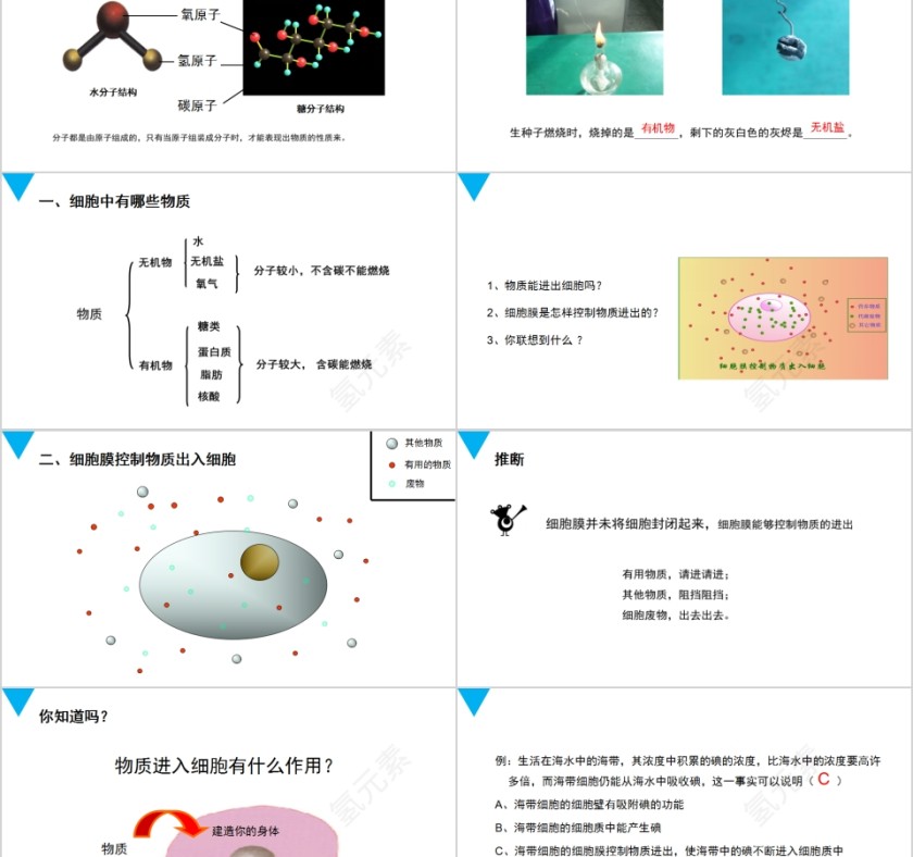 《细胞的生活》人教版七年级生物PPT课件第2张