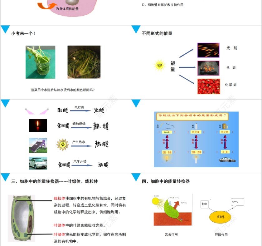 《细胞的生活》人教版七年级生物PPT课件第3张