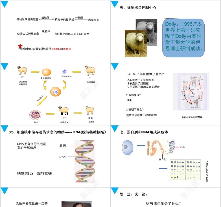 《细胞的生活》人教版七年级生物PPT课件第4张