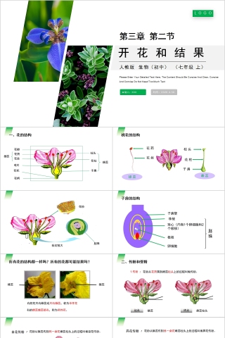 《开花和结果》人教版七年级生物PPT课件