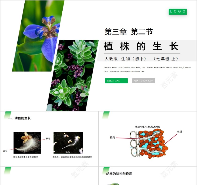 《植株的生长》人教版七年级生物PPT课件第1张