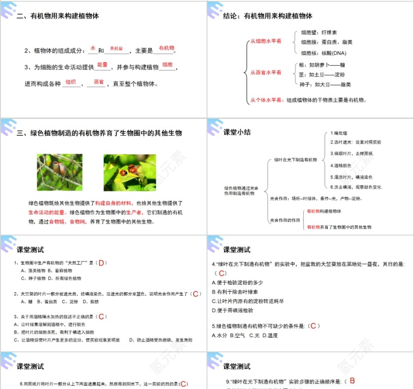 《绿色植物是生物圈中有机物的制造者》人教版七年级生物PPT课件第4张