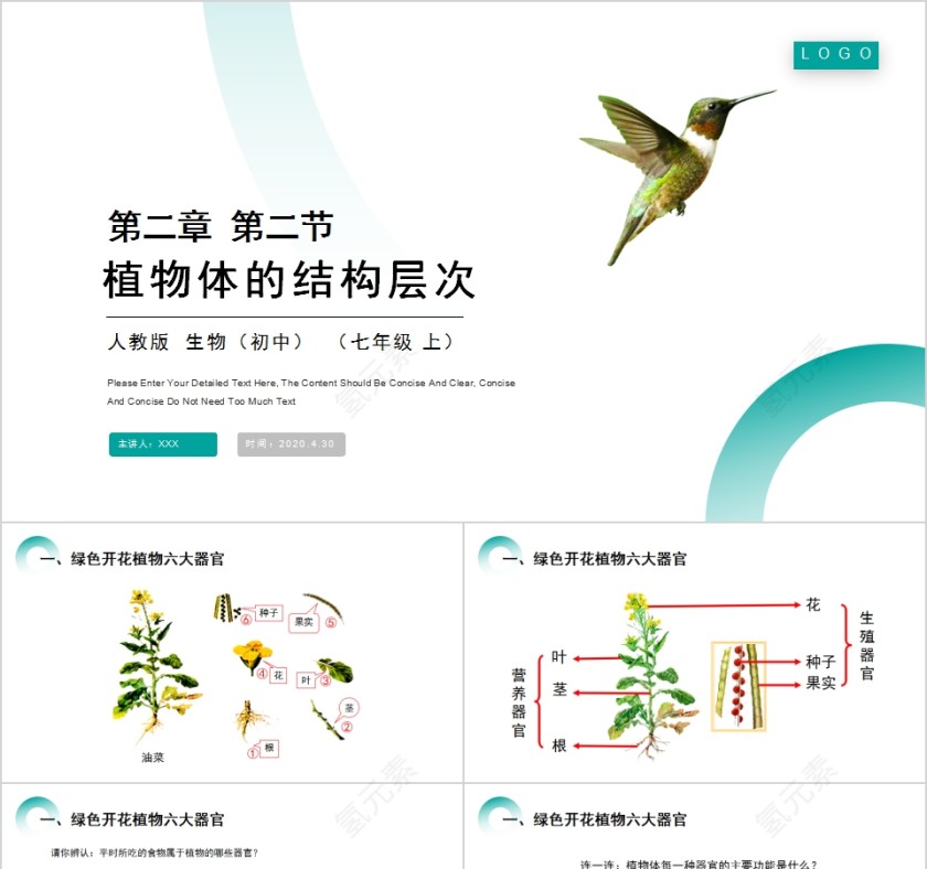 《植物体的结构层次 》人教版七年级生物PPT课件第1张