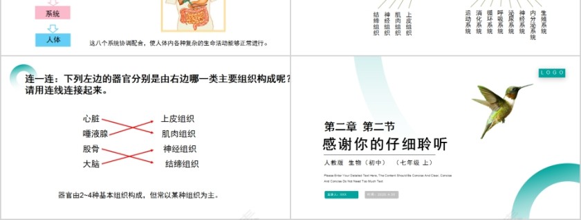 《动物体的结构层次》人教版七年级生物PPT课件第3张