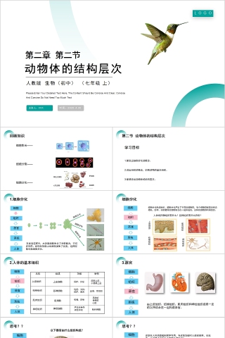 《动物体的结构层次》人教版七年级生物PPT课件