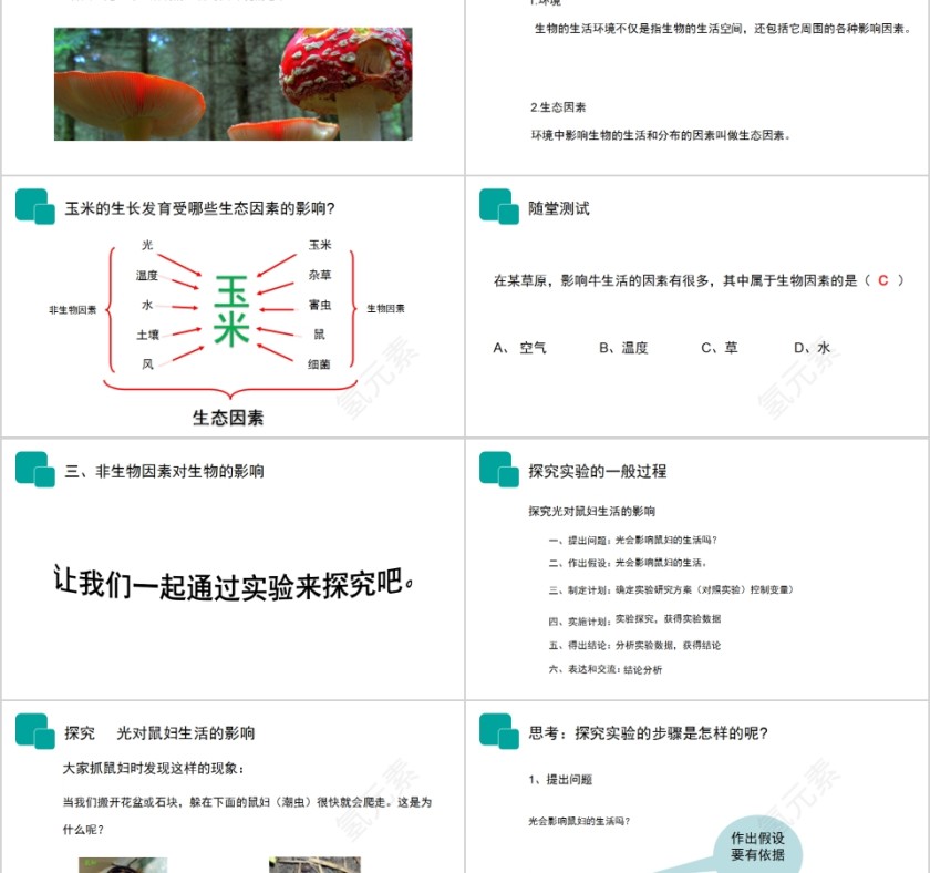 《生物与环境的关系》人教版七年级生物PPT课件第2张