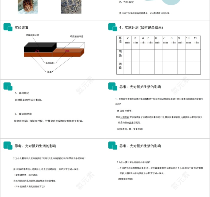 《生物与环境的关系》人教版七年级生物PPT课件第3张