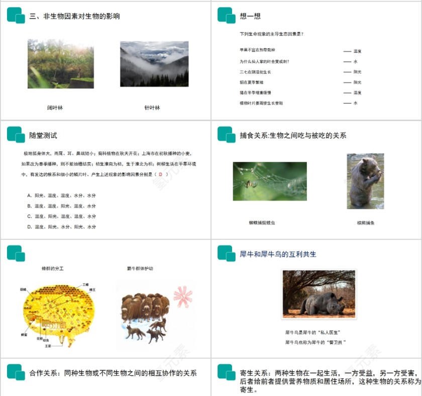 《生物与环境的关系》人教版七年级生物PPT课件第4张