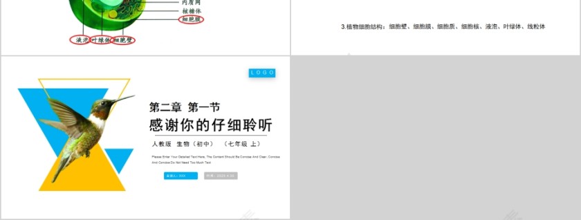 《植物细胞》人教版七年级生物PPT课件第3张