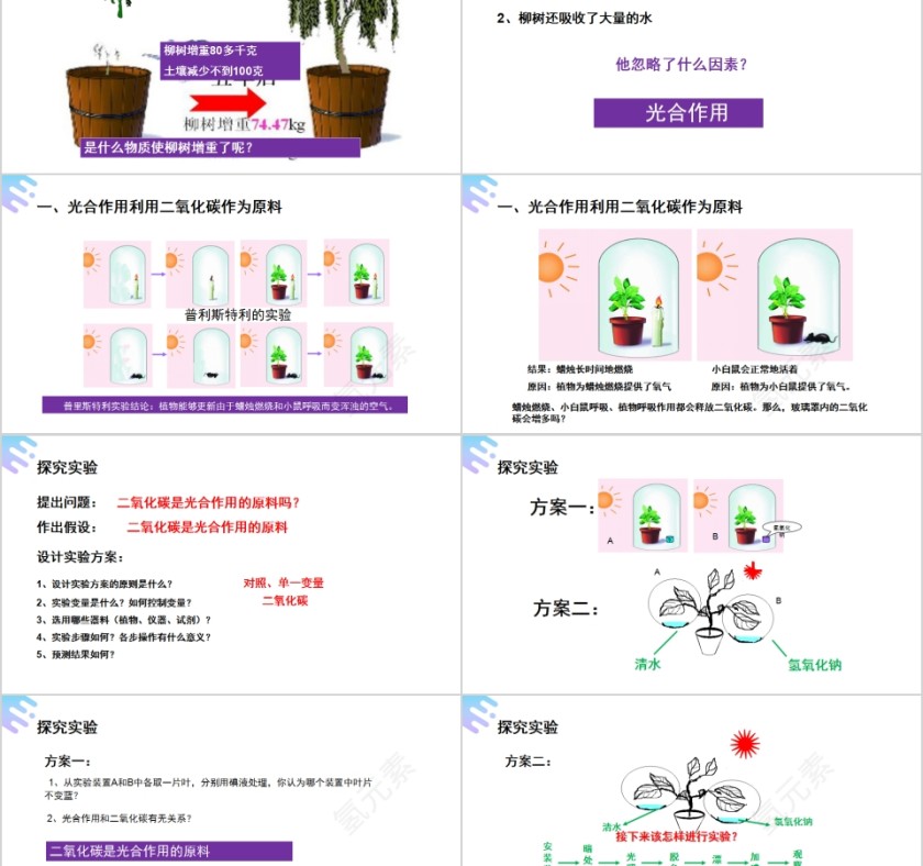 《光合作用吸收二氧化碳释放氧气》人教版七年级生物PPT课件第2张