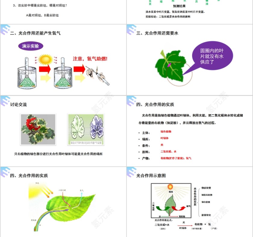 《光合作用吸收二氧化碳释放氧气》人教版七年级生物PPT课件第3张